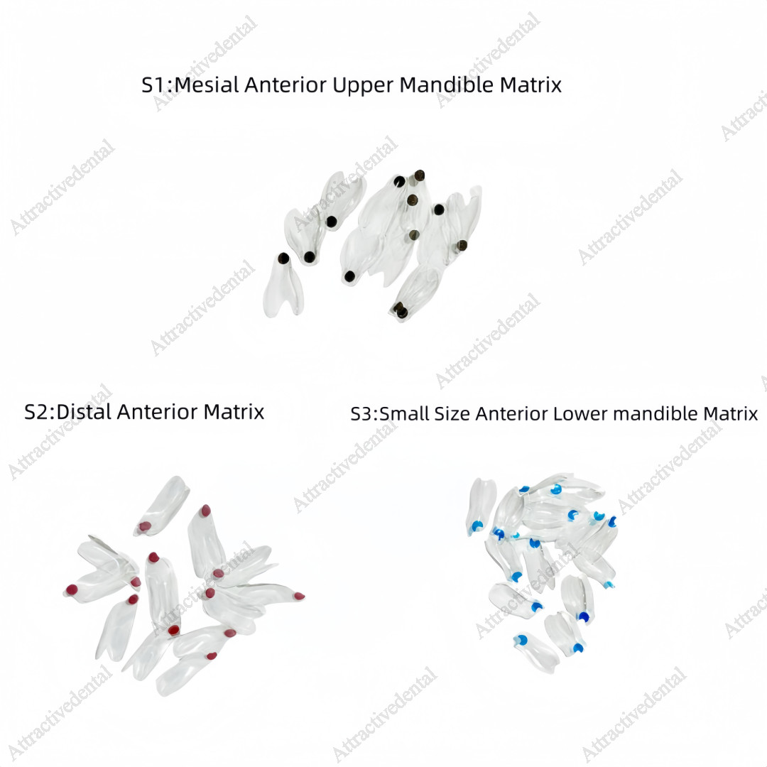 Clear Matrix Dental Anterior Posterior Transparent BT Matrices Fit BioClear USA