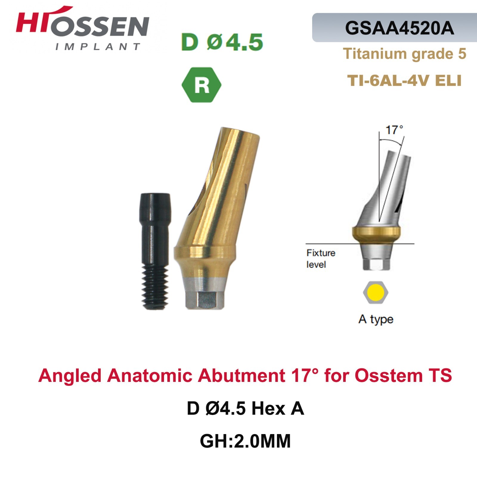 1X Fit Mini/Regular Angled Anatomic Abutment 17° Ti Dental Osstem/TS Hiossen/ET