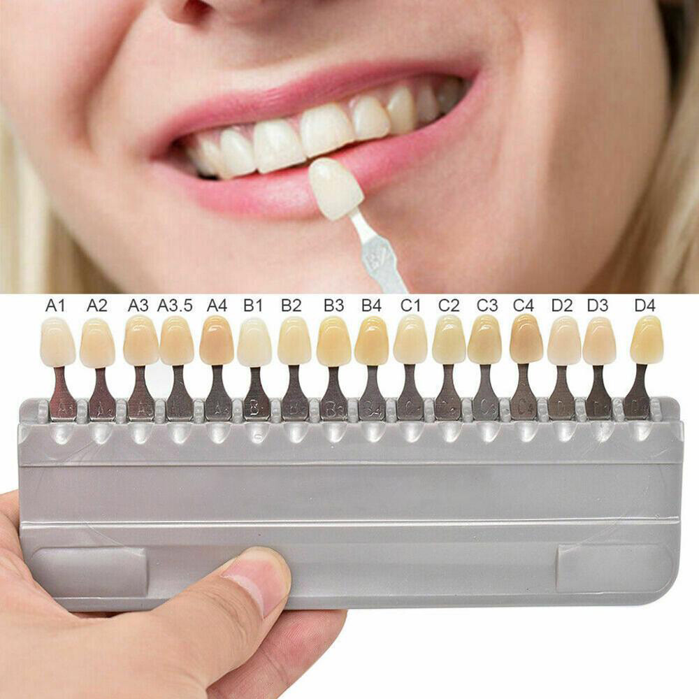 Shade Guide Dental Dentist Materials 16 Colors Shade Guide Teeth