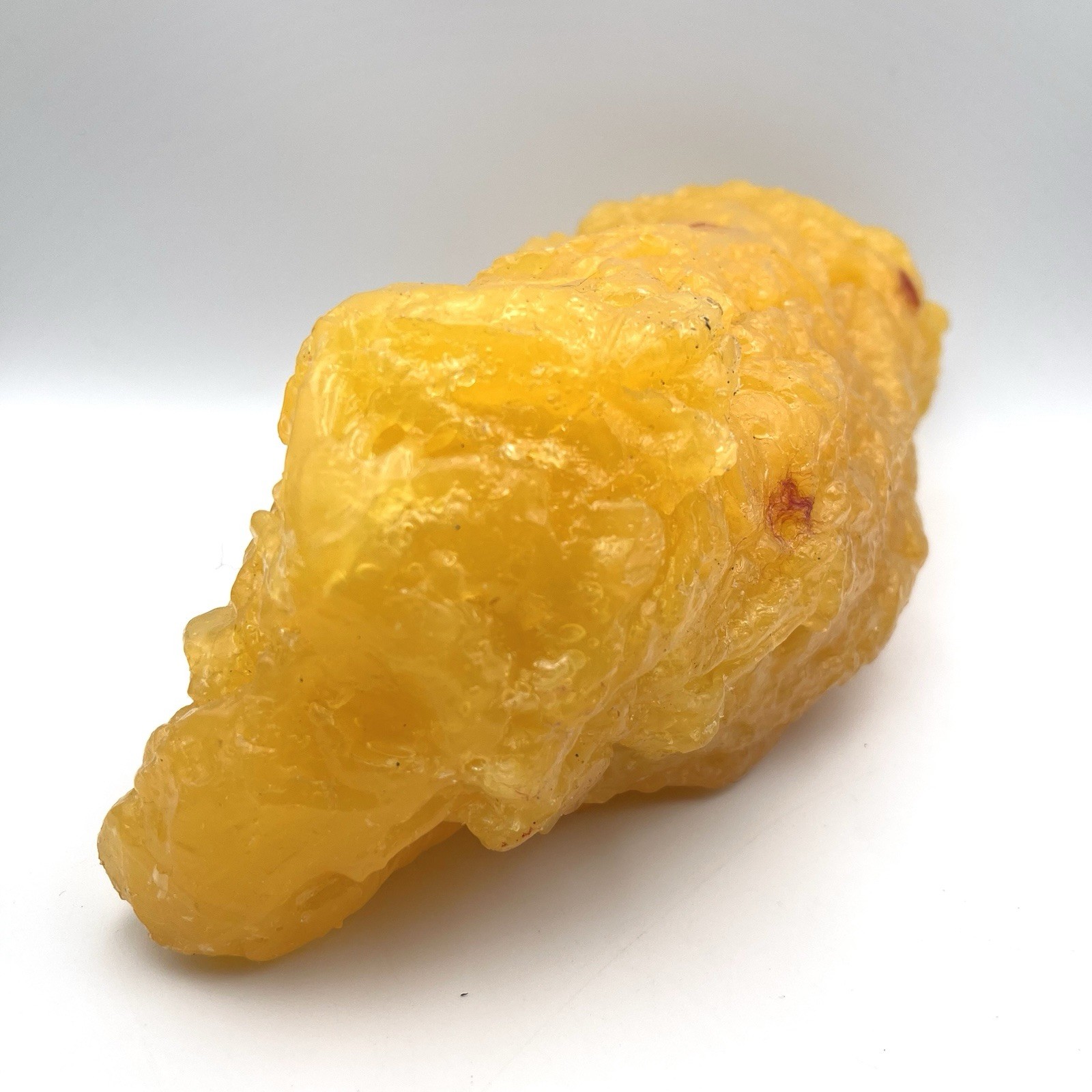 5 LB Human Body Fat Replica Model for Education Anatomy Weight Loss Fatty Tissue