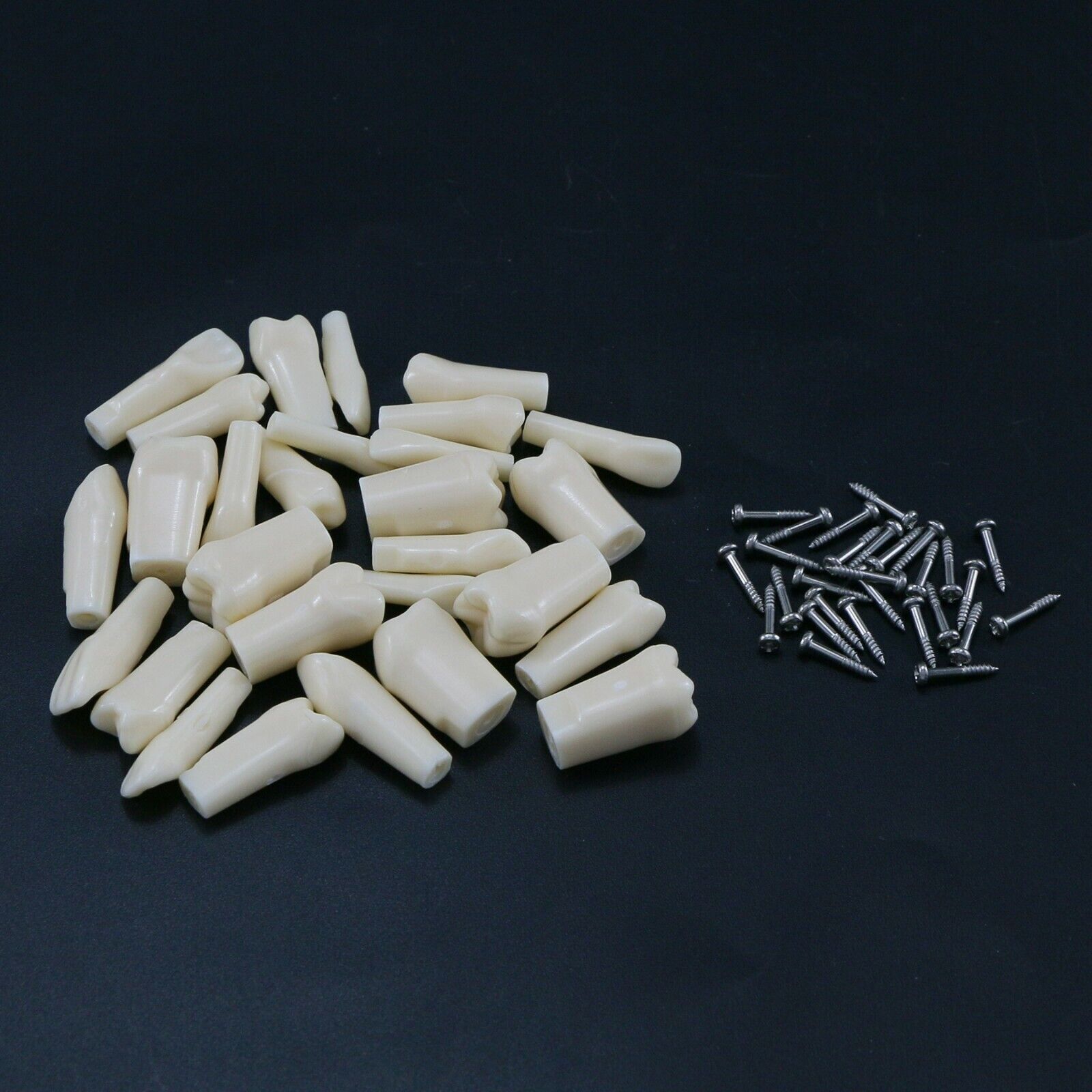 Dental Typodont 28/32Pcs Model Removable Teeth fit Kilgore NISSIN 200/500 Type