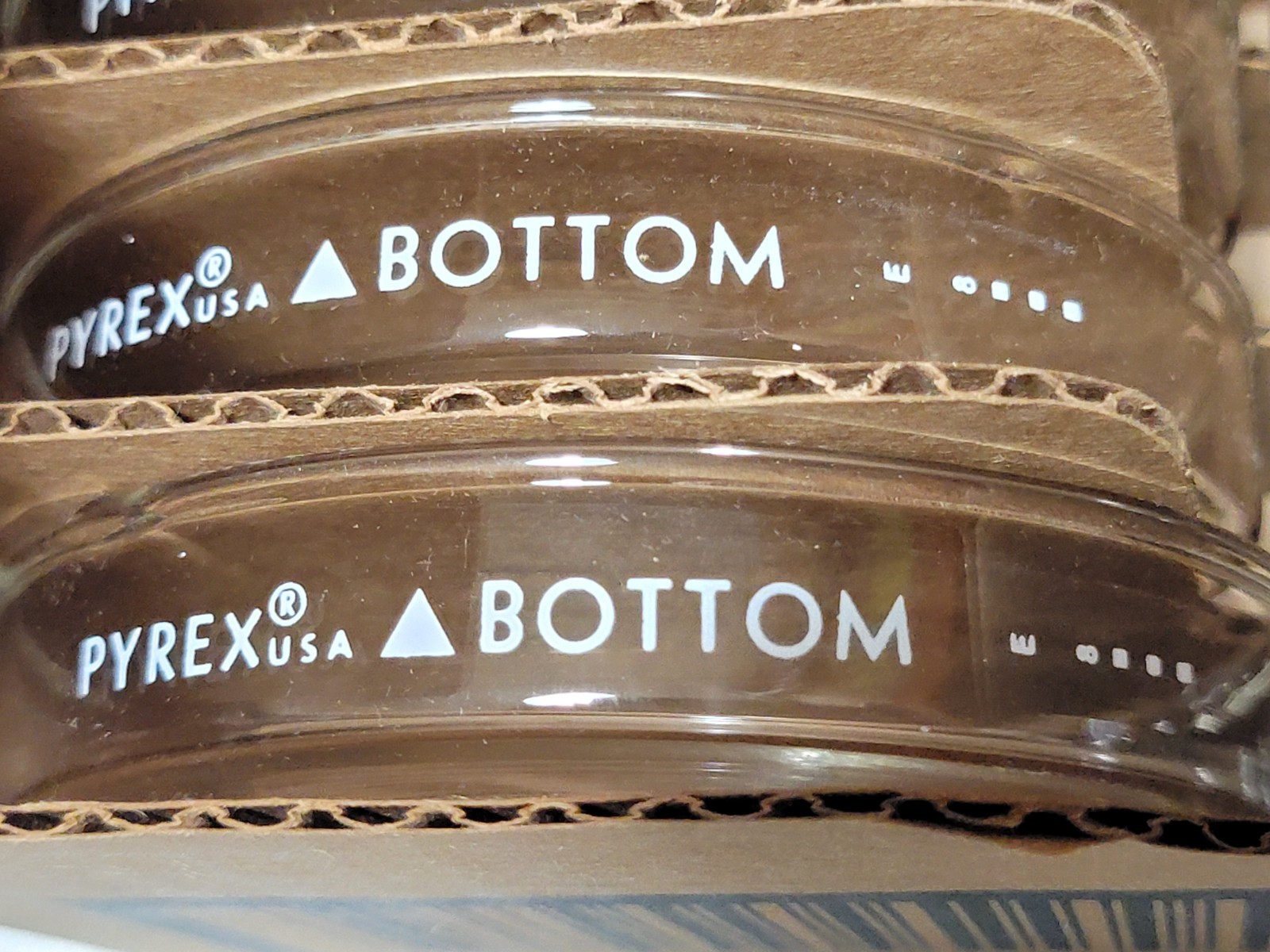 12 X Pyrex Lab Culture Petri Dish Bottoms 100mm X 15mm 3160-101BO Glass 422310