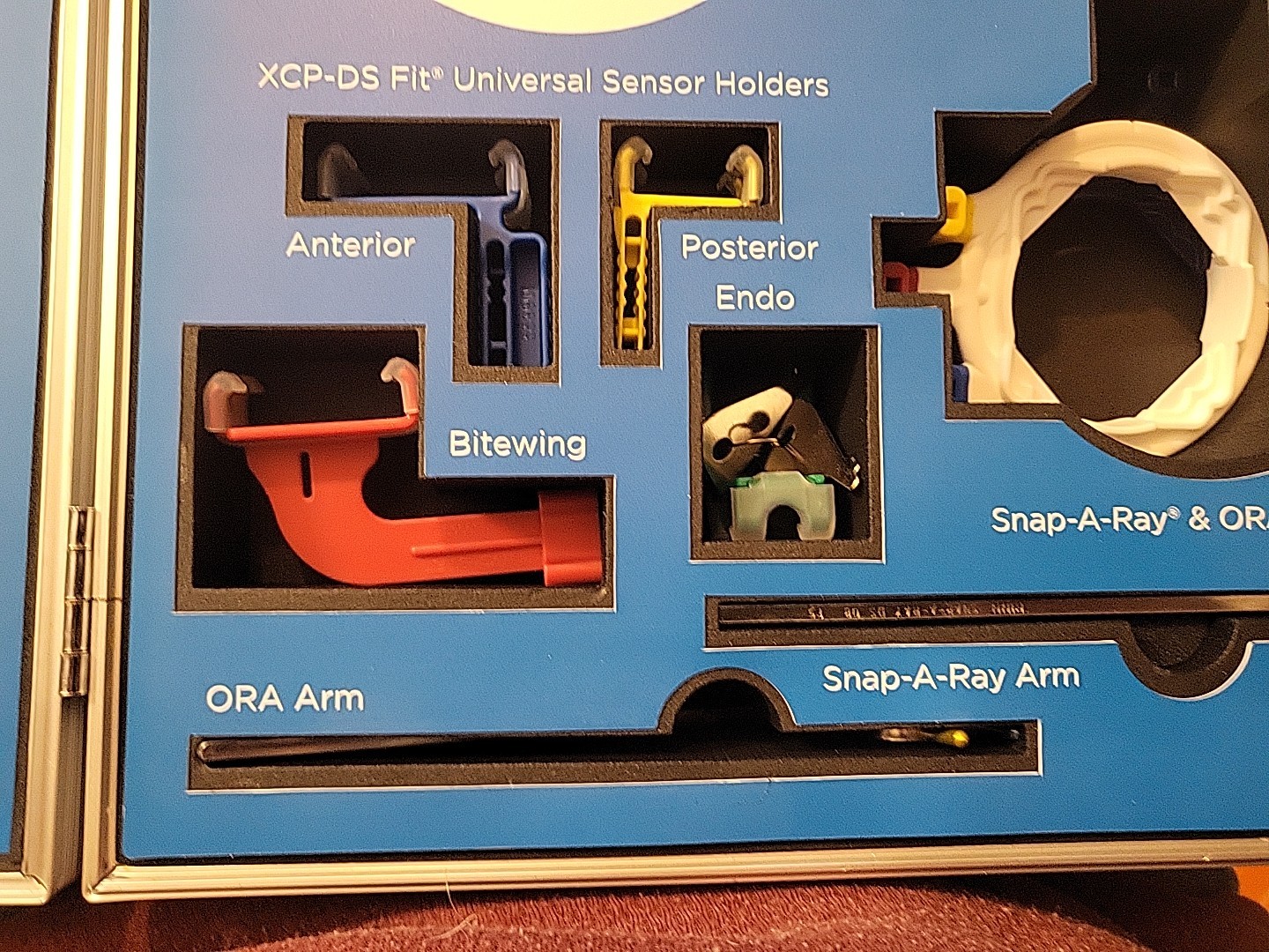 DENTSPLY 559900 XCP-DS Fit Universal Digital Sensor Holder Dental Xray (P1-2)
