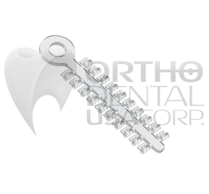 Rotation wedges Elastic (100 PCS) Made of polyurethane Orthodontic USA Sellers