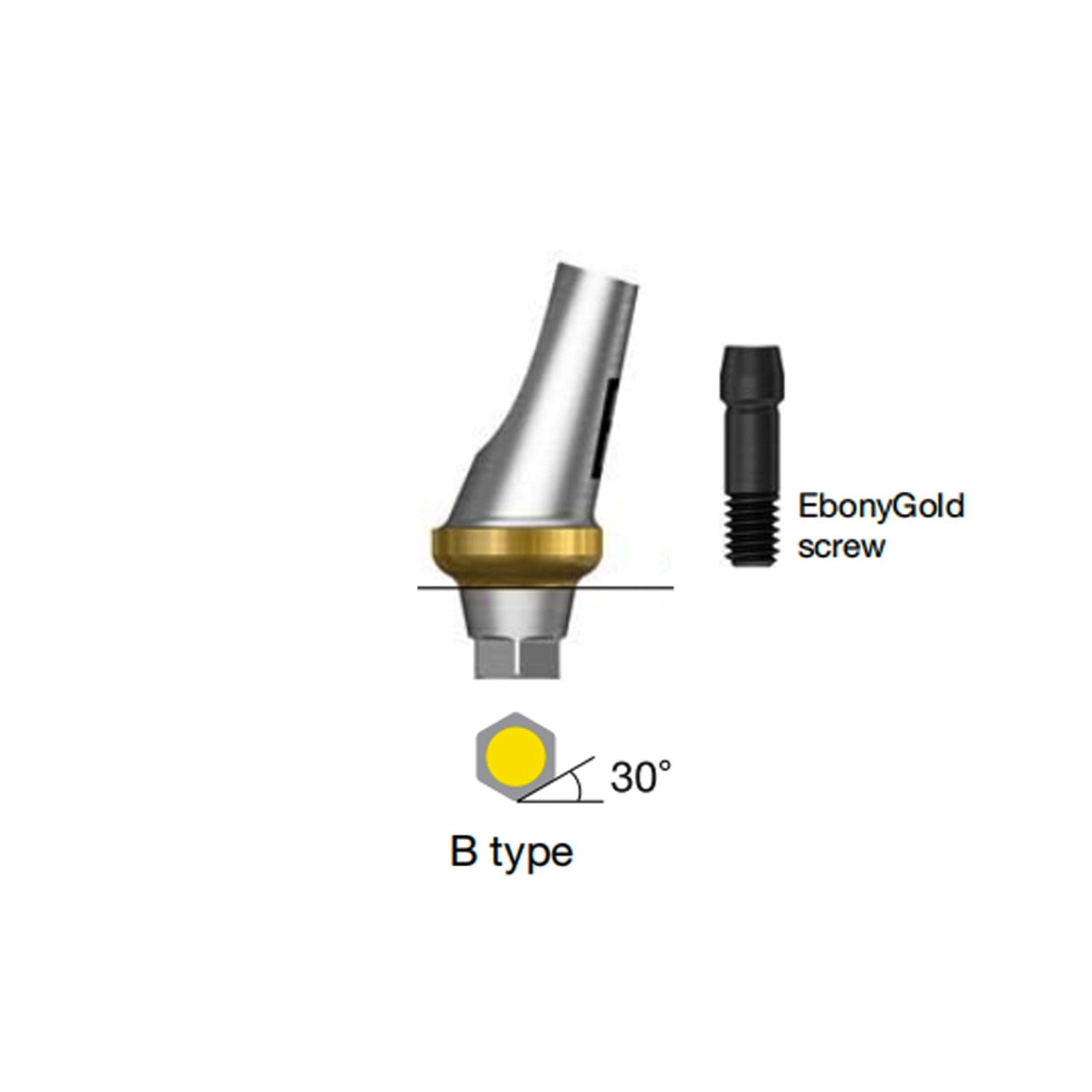 Angulated Anatomic abutment 30°Mini/Regular B Type for Hiossen Osstem TS Implant