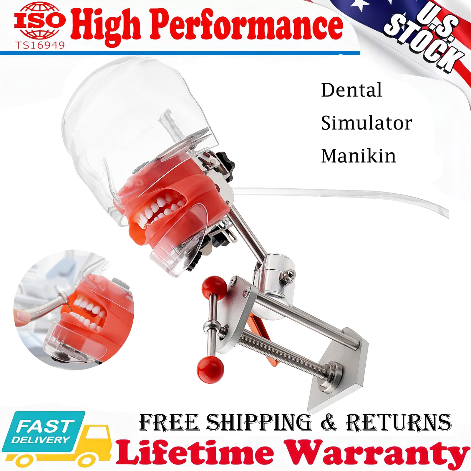 US Dental Simulator Manikin Phantom Head Model Dentist Teaching w/ 28Pcs Teeth