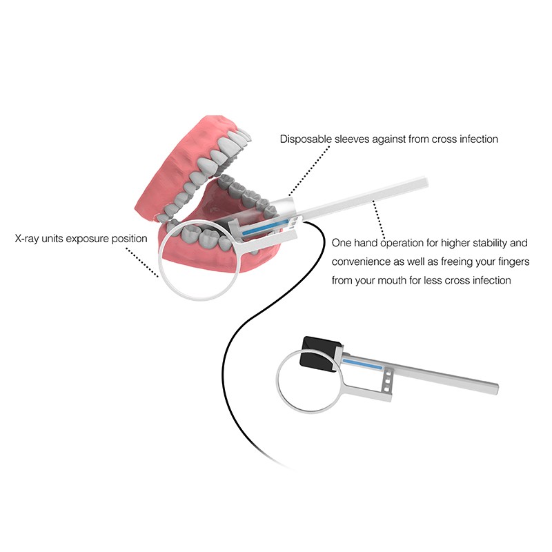 1 Year Warranty Dental RVG Sensor High-Frequency Digital Sensor Dentist HD Image