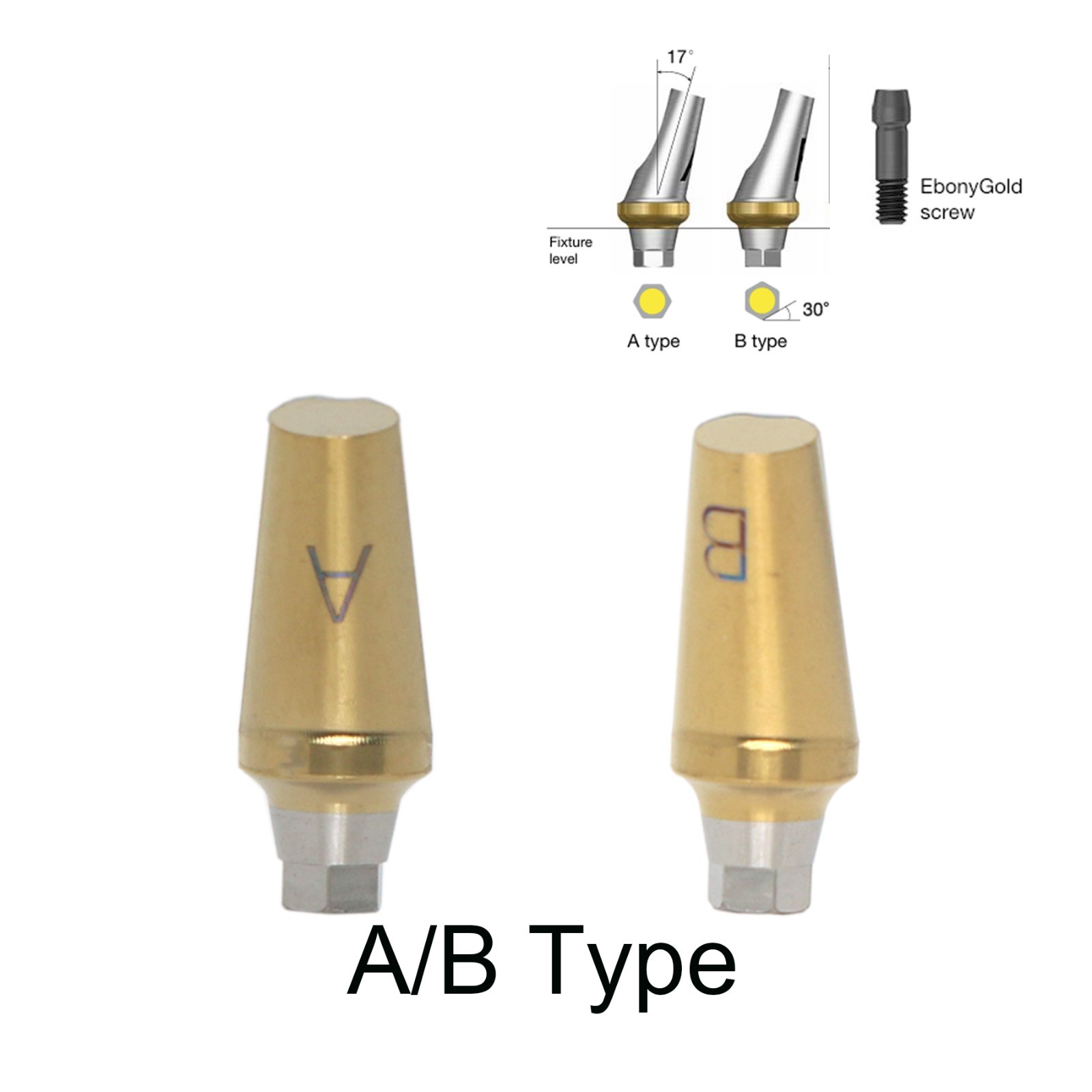 17° Dental Angled Anatomic Abutment For Hiossen Mini/Regular Platform Osstem TS