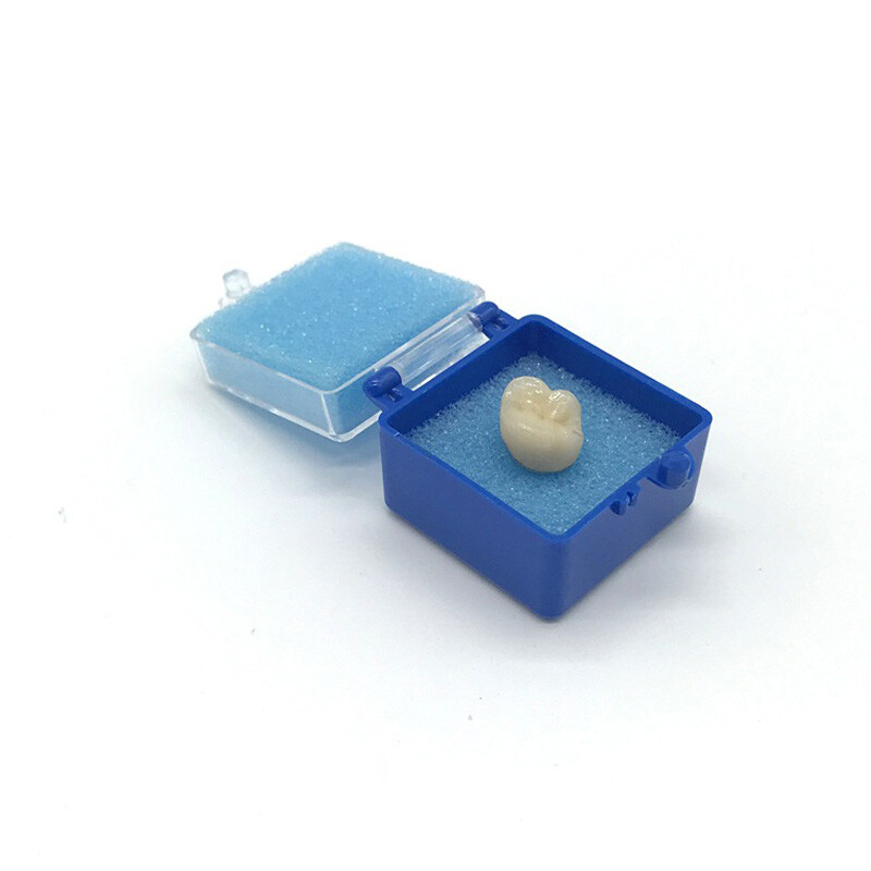 200pcs Denture Crown Storage Case Denture Box with Sponge Packing Plastic Box