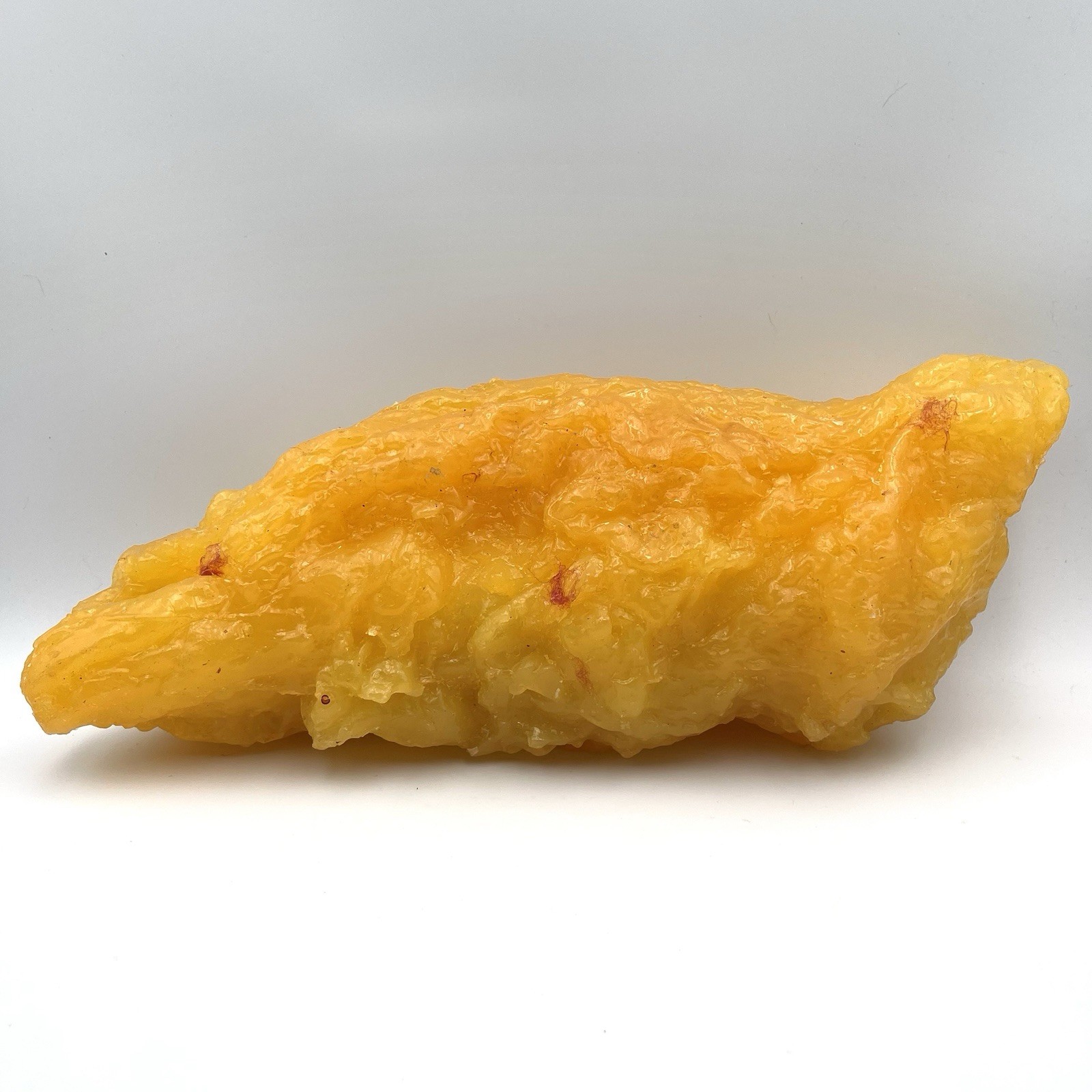 5 LB Human Body Fat Replica Model for Education Anatomy Weight Loss Fatty Tissue