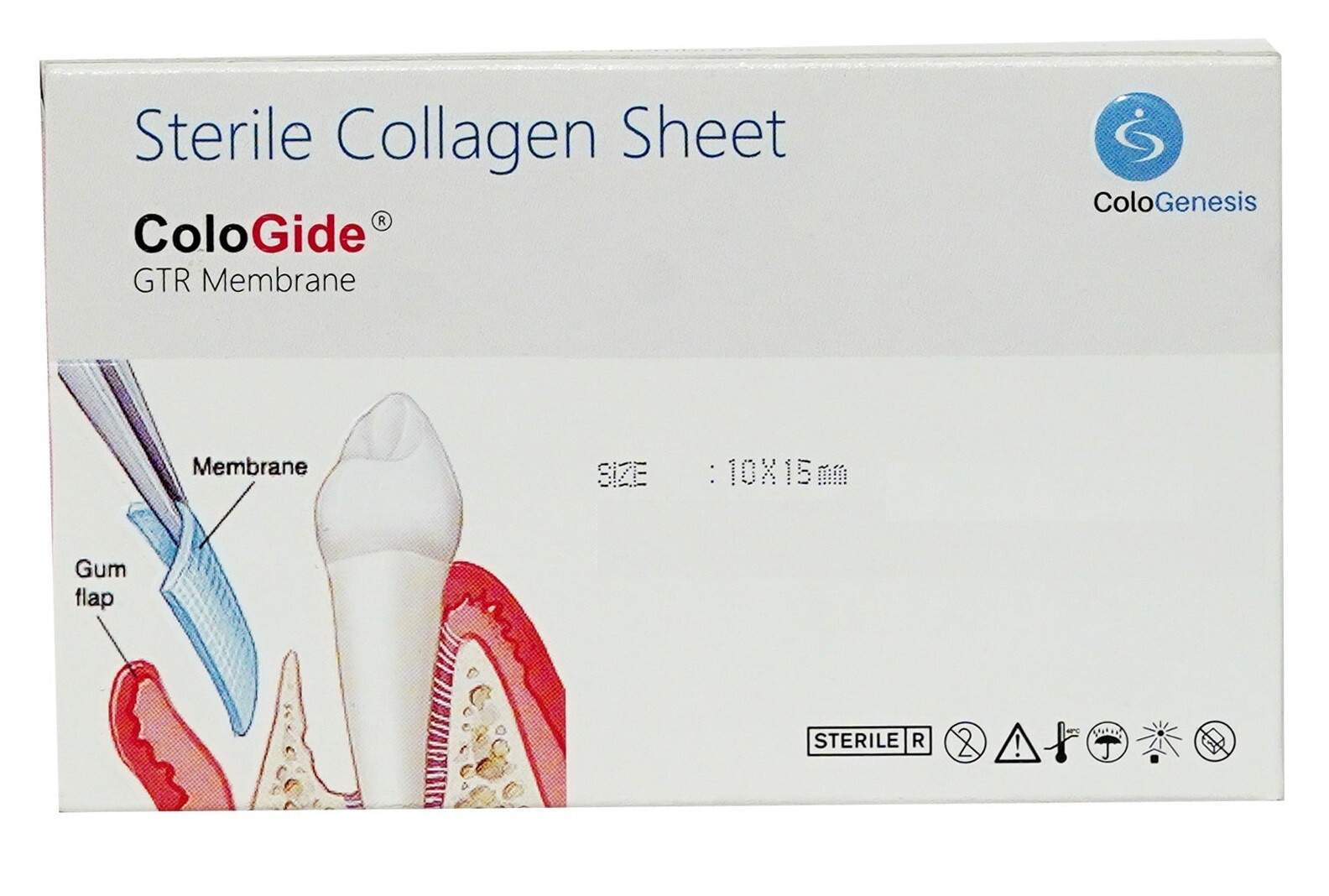 Pack of 10 New Colo Gide Sterile Collagen Sheet GTR Membrane 10 x 15mm