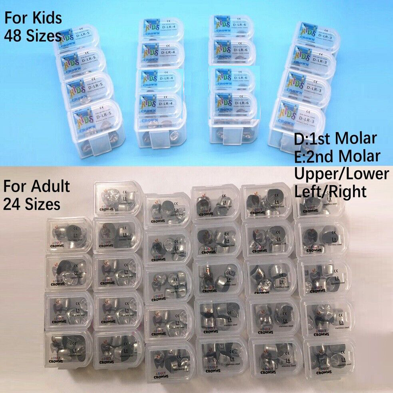 DENTAL STAINLESS STEEL Adult Permanent Molar CROWN All Size 5/Pk Compare to 3M