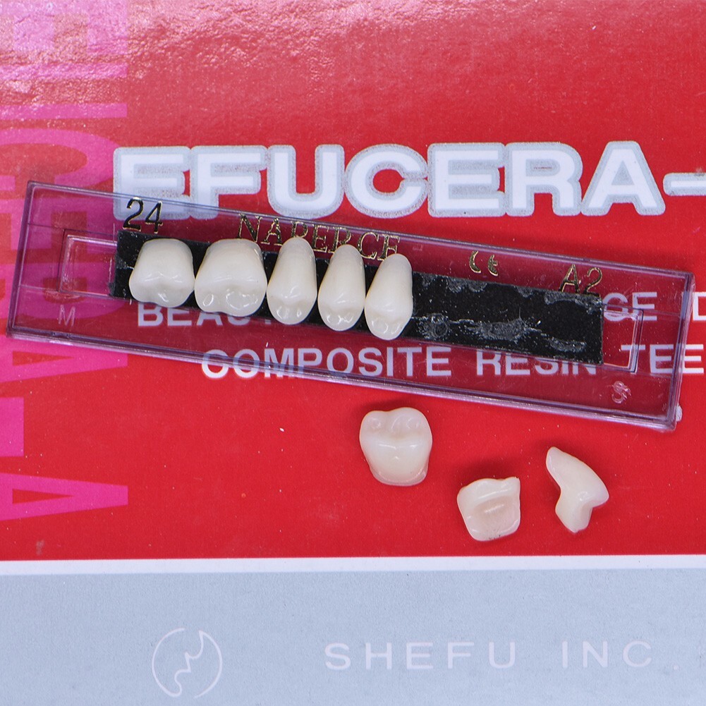 168Pcs/Box Acrylic Resin Denture #24 Dental Upper Lower Shade A2 Teeth Set USA