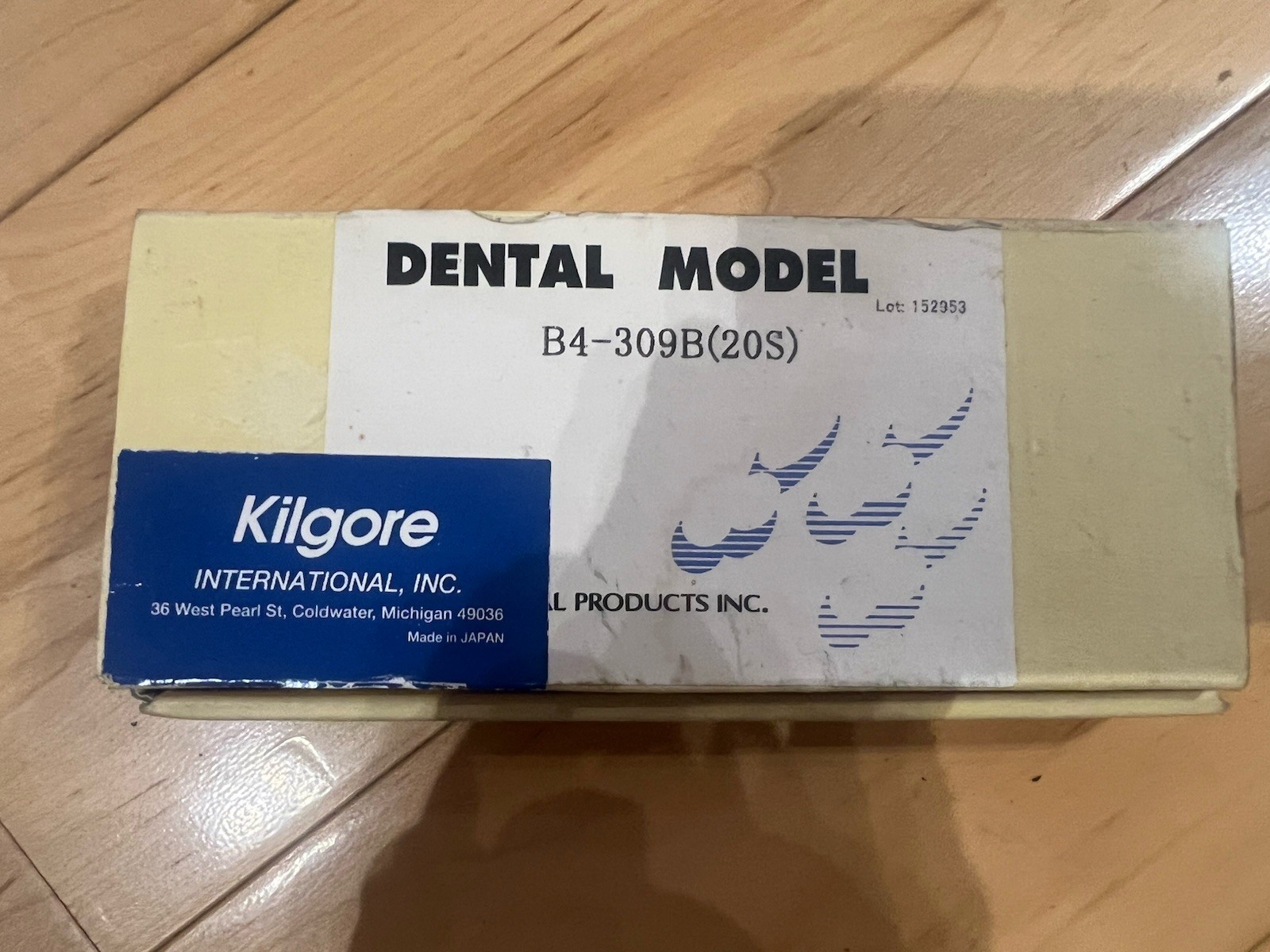 Kilgore Typodont Teeth Set B4-309B(20S) for Dentistry & Dental Laboratory