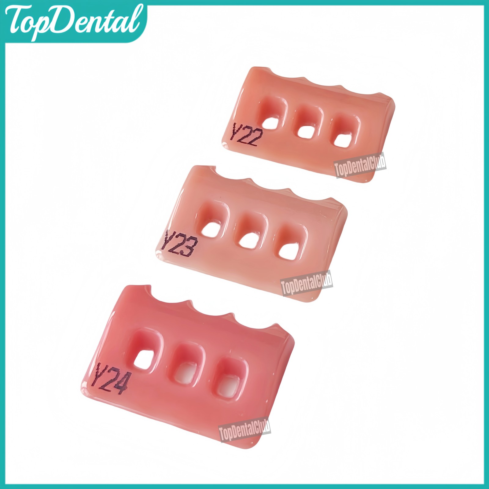 Dental SHOFU Gum Shade Gingiva Color Plate Indicator Tri-Color PN7040 Gummy Kit
