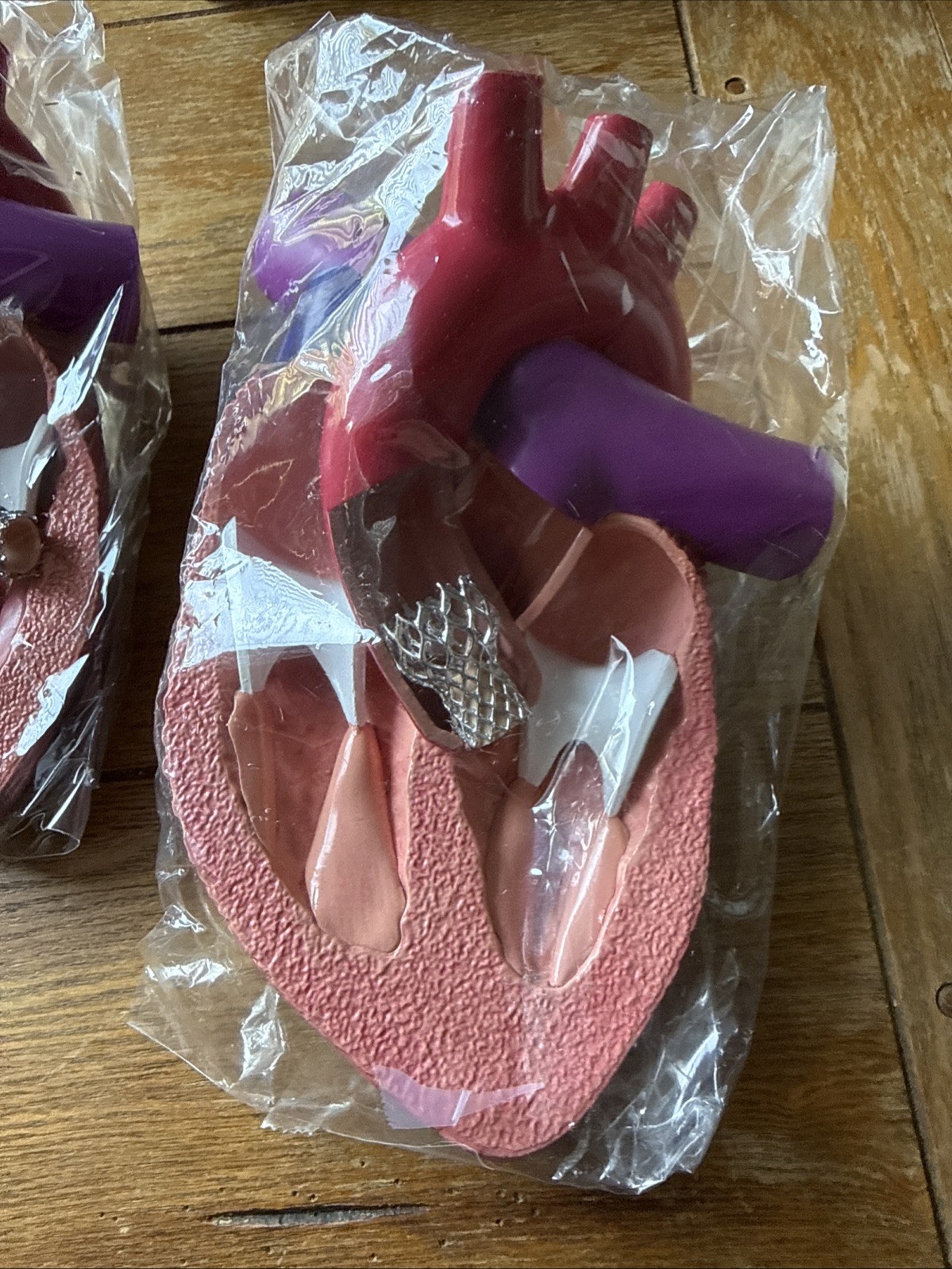 3D Model Anatomical Human Heart Drug Rep Plendil Pharmaceutical Advertising