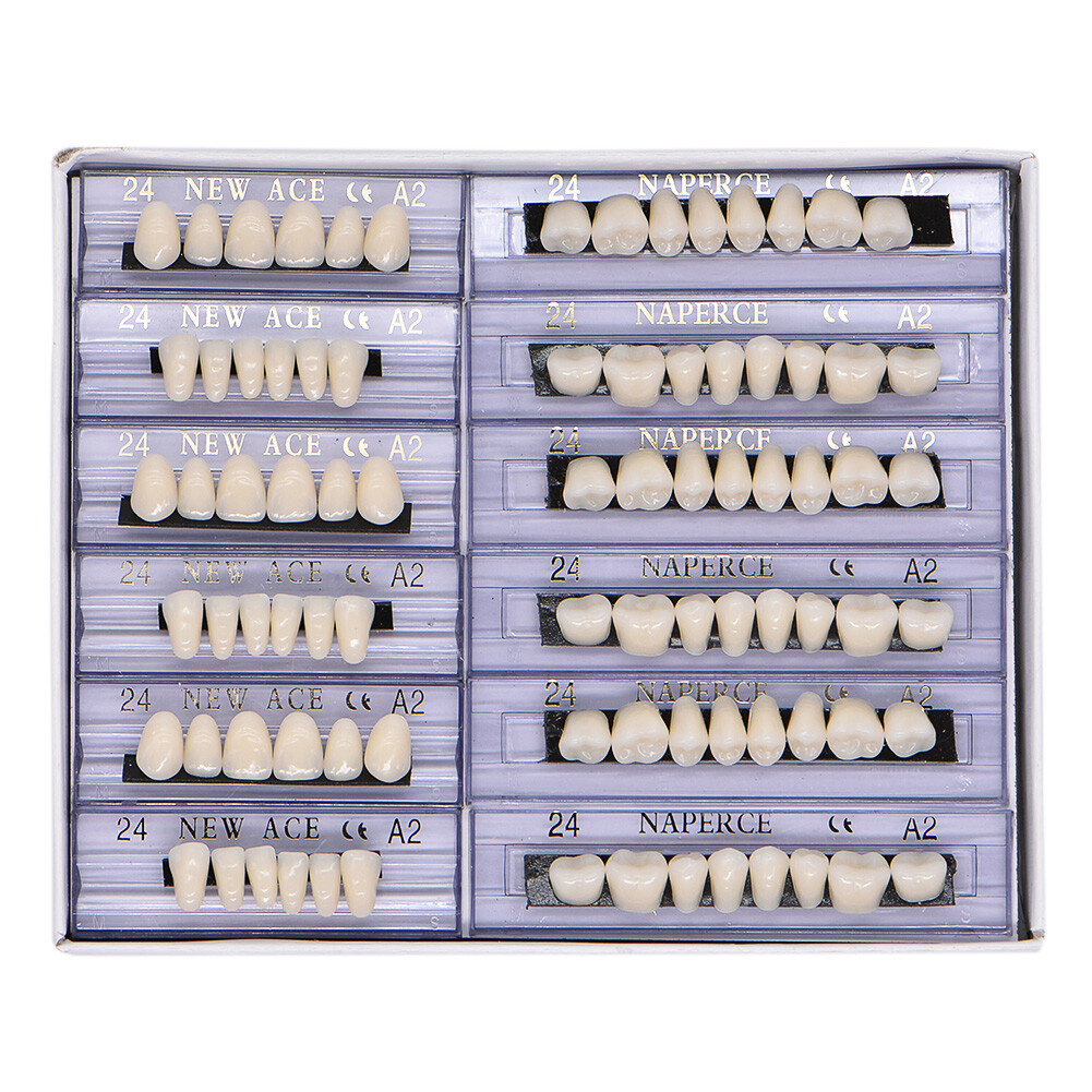 168Pcs/Box Acrylic Resin Denture #24 Dental Upper Lower Shade A2 Teeth Set USA