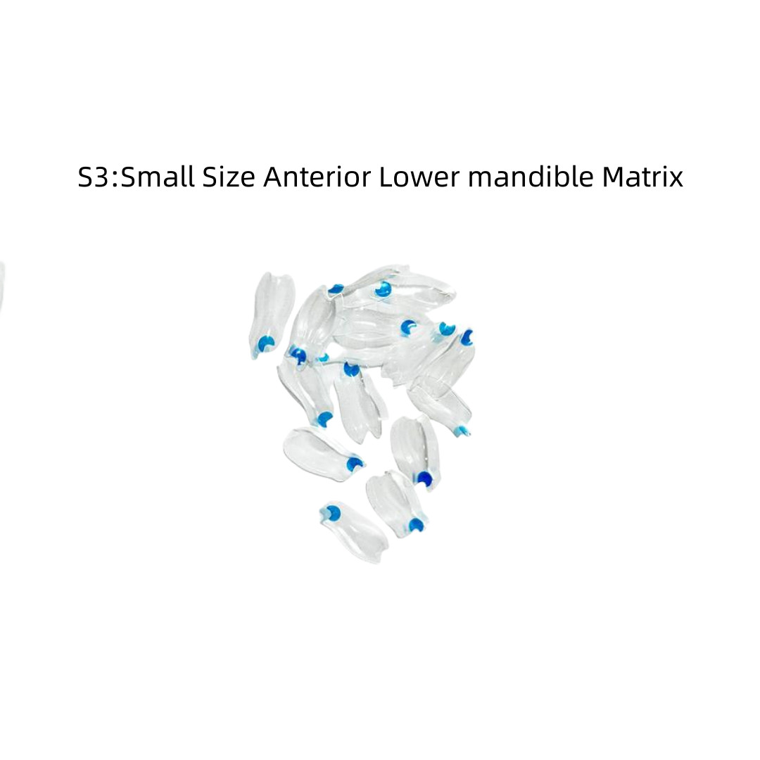 Clear Matrix Dental Anterior Posterior Transparent BT Matrices Fit BioClear USA