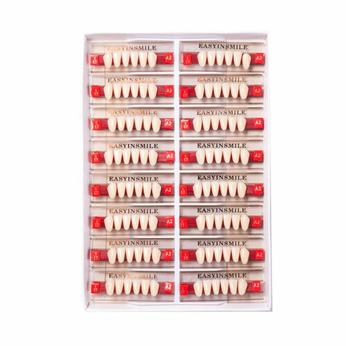 Dental Acrylic Resin Denture False Teeth Upper Lower Full Set A1/A2/A3 Shade USA