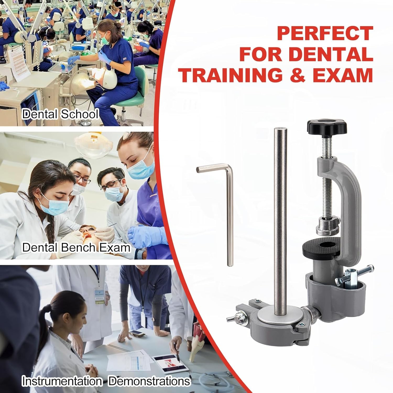 Dental Typodont Mounting Pole Implant Pole 360° Dental Simulator not Teeth Model