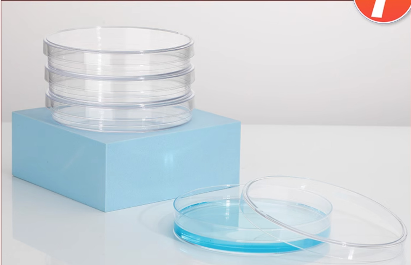 Lab Plastic Cell sterile Culture dish Petri dish with lid set 60 70 90mm 10PCS