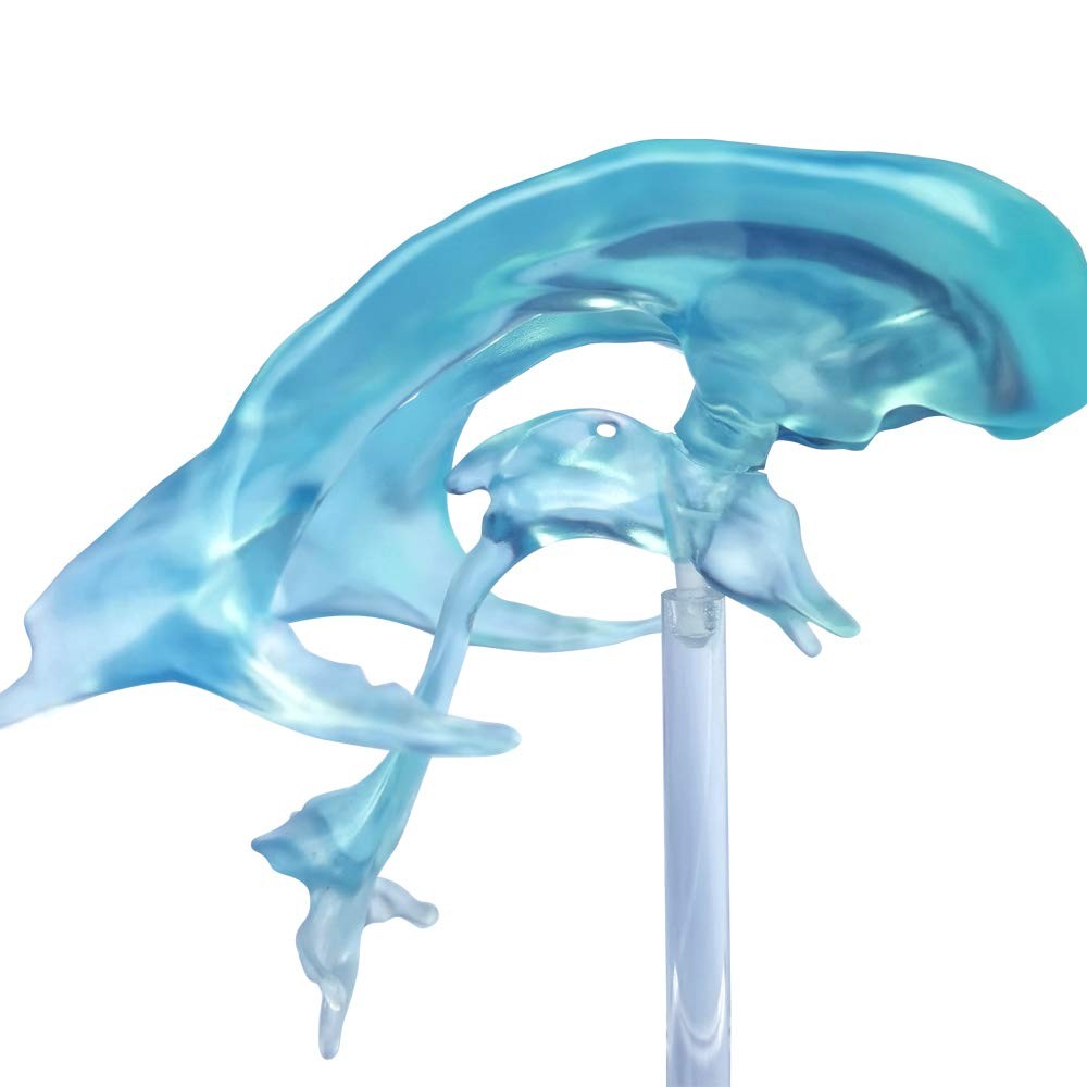 EVOTECH SCIENTIFIC Human Brain Ventricles Model for Medical Transparent