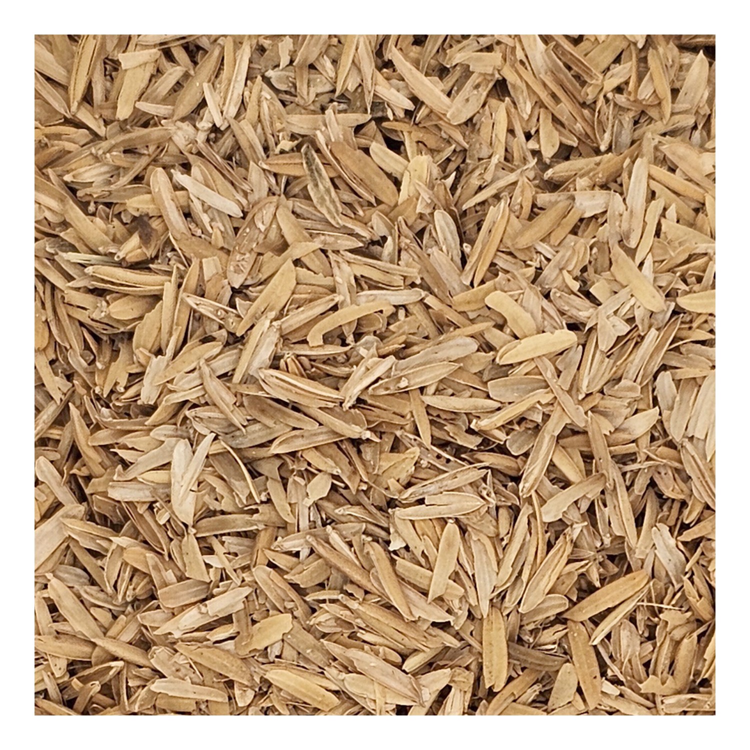 Rice Hulls 10 lb for Home Brew Beer Making