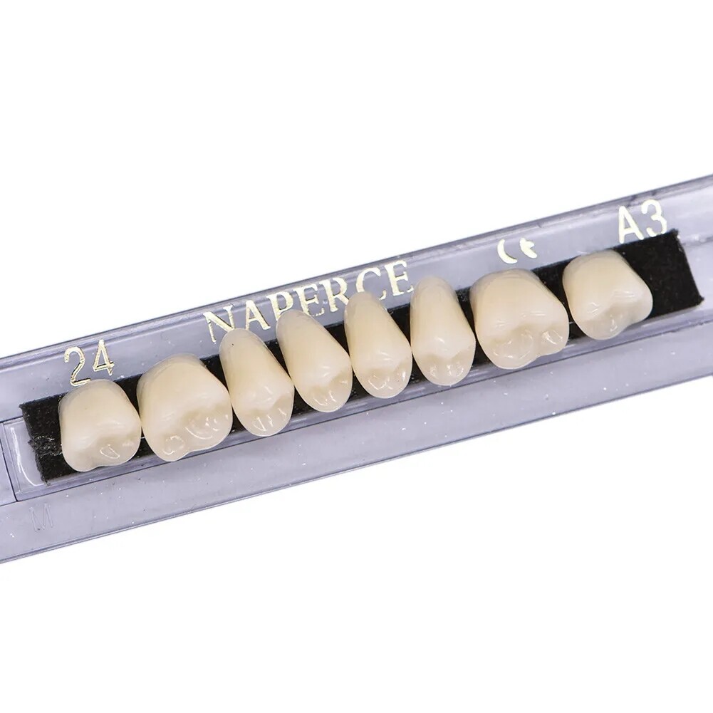 168X Acrylic Resin A1/A2/A3 Dental Denture Teeth Upper Lower Shade 22/23/24# HOT