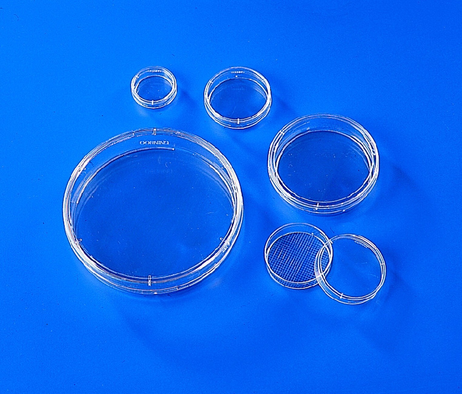 ***Greiner 96-well Assay Plates Medium Bind Flat Bottom 40/CS