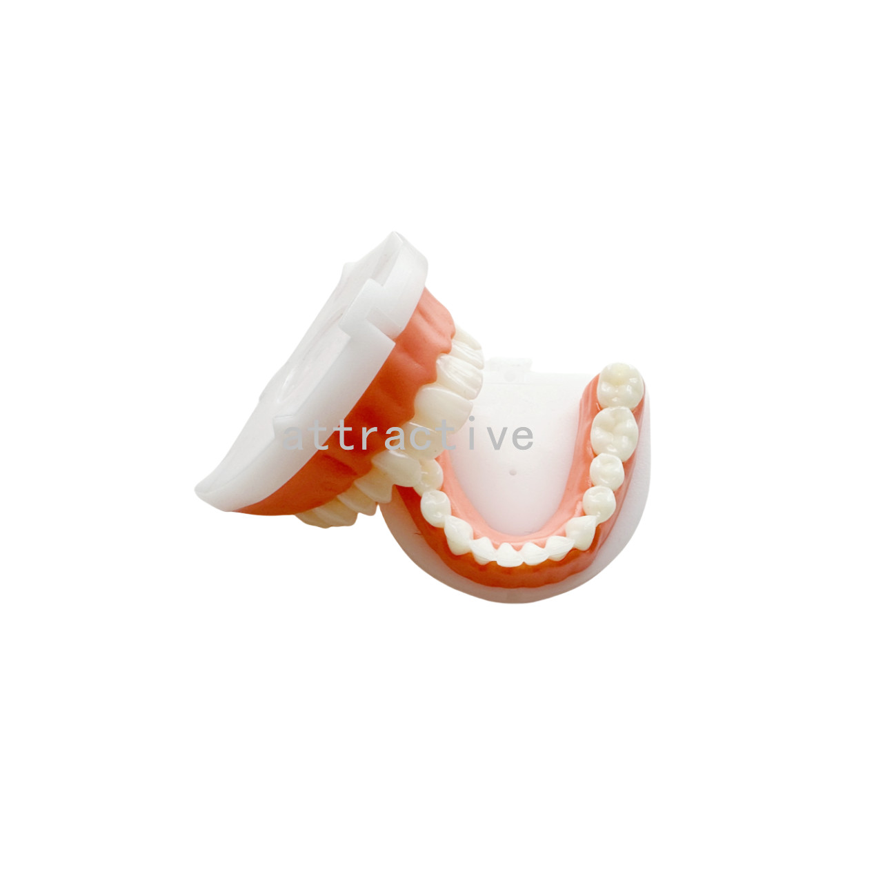 Dental Composite Veneer Template Model Practise Veneers Dentist Teaching 1Set