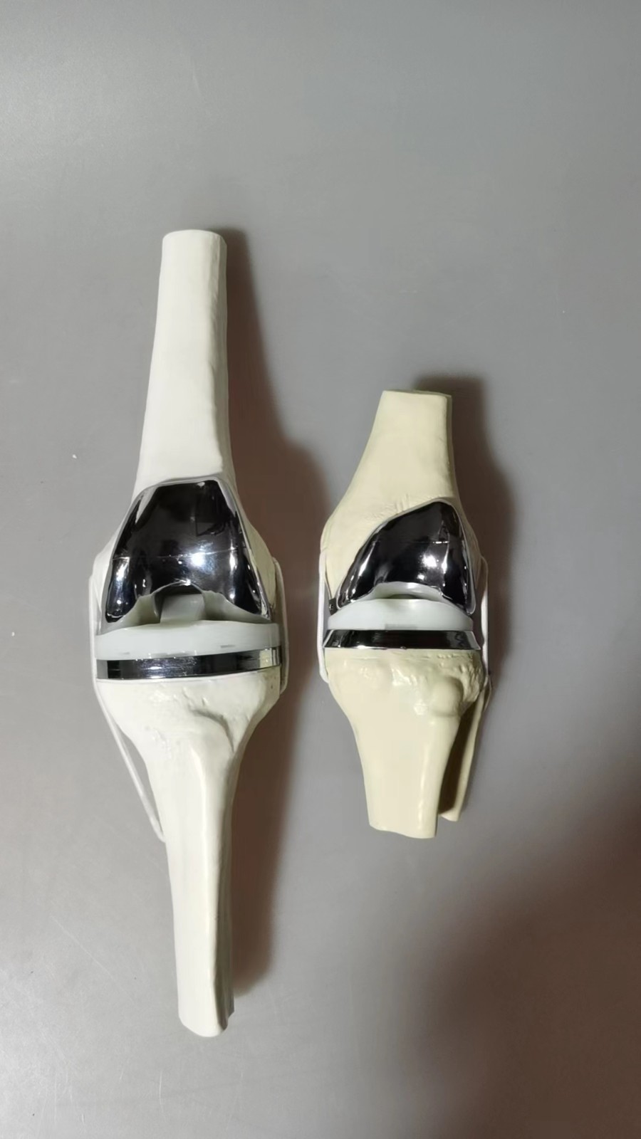 Artificial Shoulder Replacement Anatomical Model Knee Shoulder Elbow Joint Model