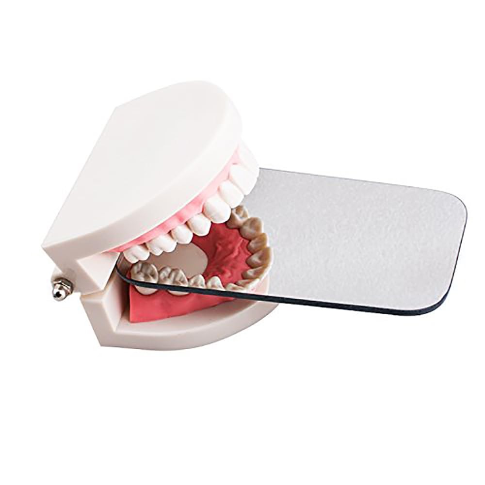 NaYiissi 2 Sided Dental Photography Mirror, Intraoral Rhodium Plated Silver