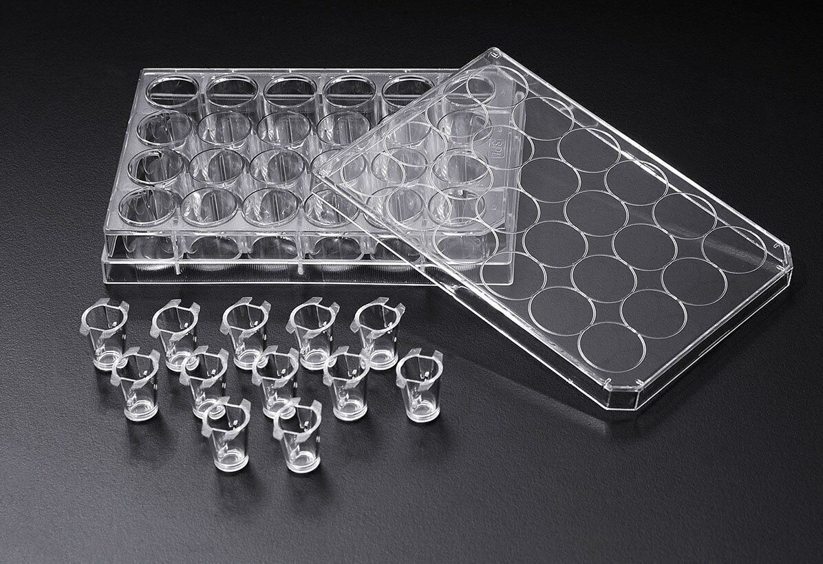SPL Inserts Hanging PET membrane, 3.00 µm pore, Translucent diameter 6.5mm, Ster