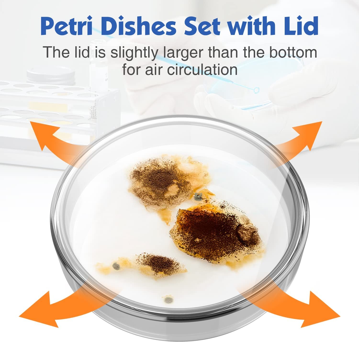 90mm 10x Glass Petri Dish Lab Petri Plates Dishes Reusable w/ Lids Autoclavable