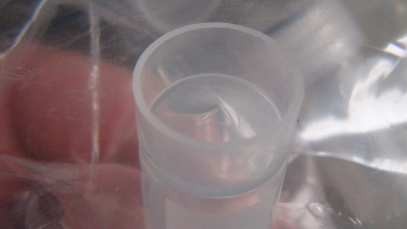 200 x 5mL Cryovial Screw Cap Transport Tubes Self Standing Sterile Clear