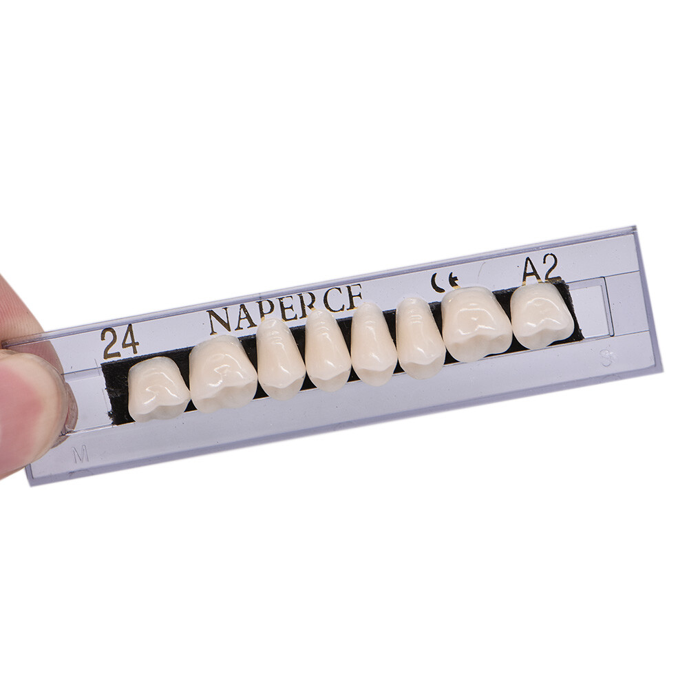 168Pcs/Box Acrylic Resin Denture #24 Dental Upper Lower Shade A2 Teeth Set USA