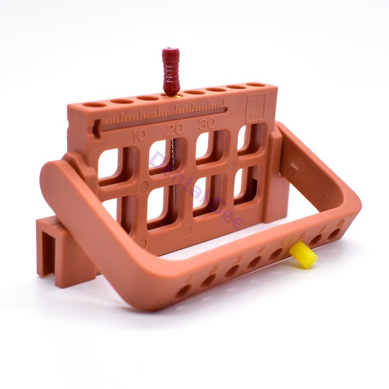 Dental 8 Holes Bur Endo Files Block Holder Stand Autoclave Disinfection Box Case