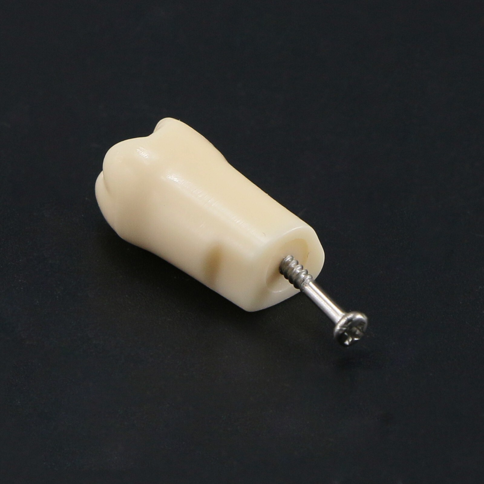 Dental Teeth Typodont Model Replacement Screw-in fit Kilgore NISSIN 200/500 Type