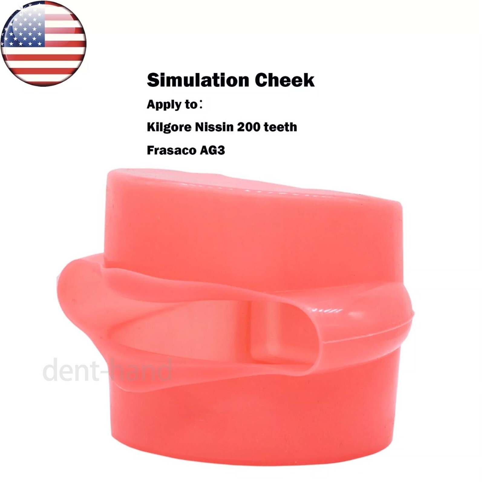 US Dental Typodont Simulation Cheek Rubber Practice Standard 1:1 Teeth Model