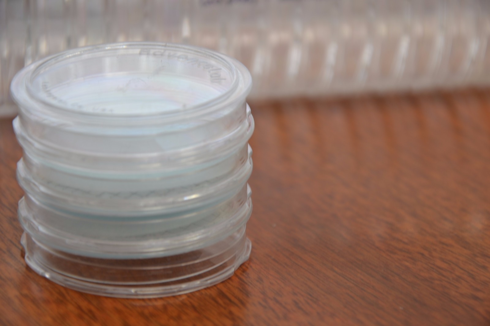 [Set of 20] Petri Dish 50x9mm Disposable Clear Bacterial Plate w/ Tight Light