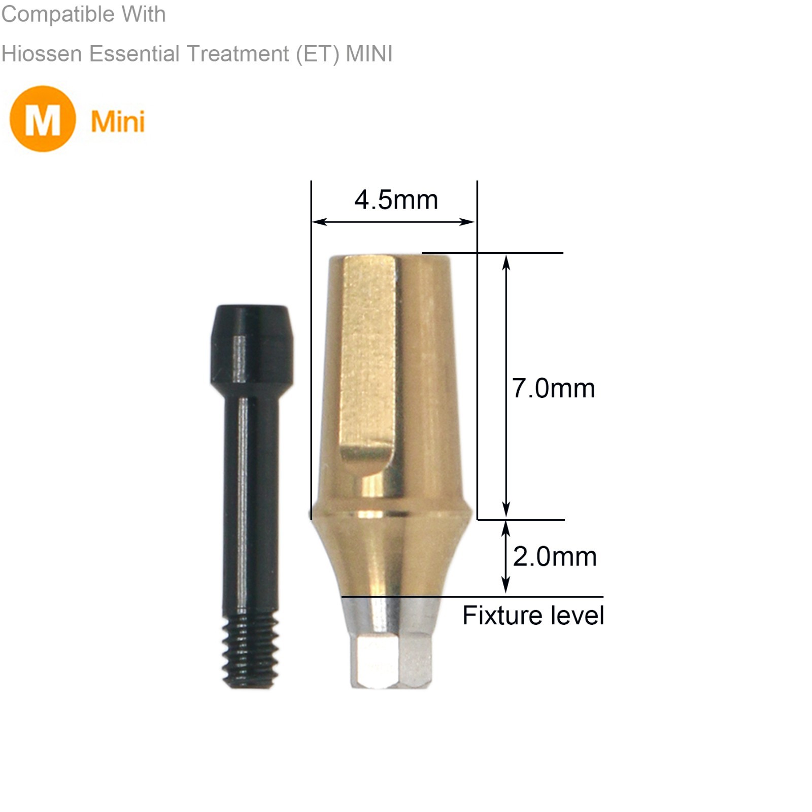Dental Hex Straight Abutment with Screw Mini Regular Fit for Osstem Hiossen TS