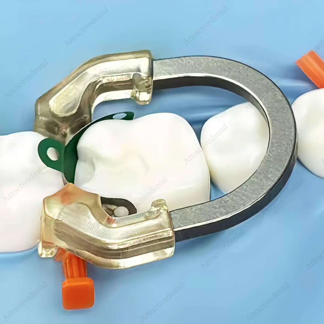 New Dental NITI transparent Clamp Ring Sectional Contoured Matrix System R7 1.0