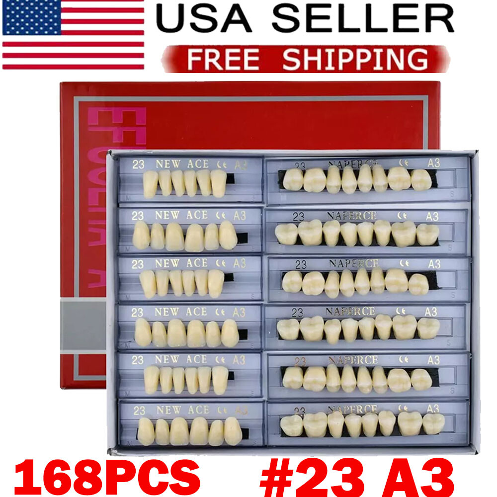 168Pcs Dental Acrylic Resin Denture A3#23 Shade Full Upper Lower False Teeth HOT