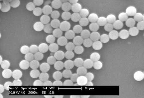 Monodispersed Polystyrene Particles Microspheres Beads Latex PS size 3.0-4.8 um