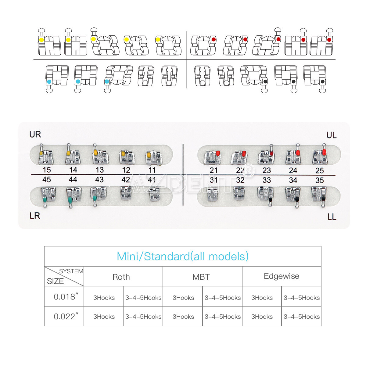 US Dental Orthodontic Brackets Braces/ Super Elastic Niti Arch Wires Ovoid Sets