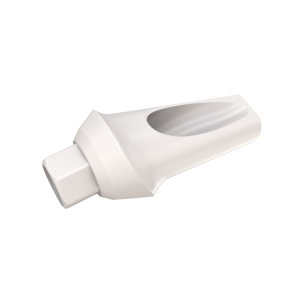 1pcs DSl Angulated Abutment Anatomic Peek With Screw 15° Internal Hex