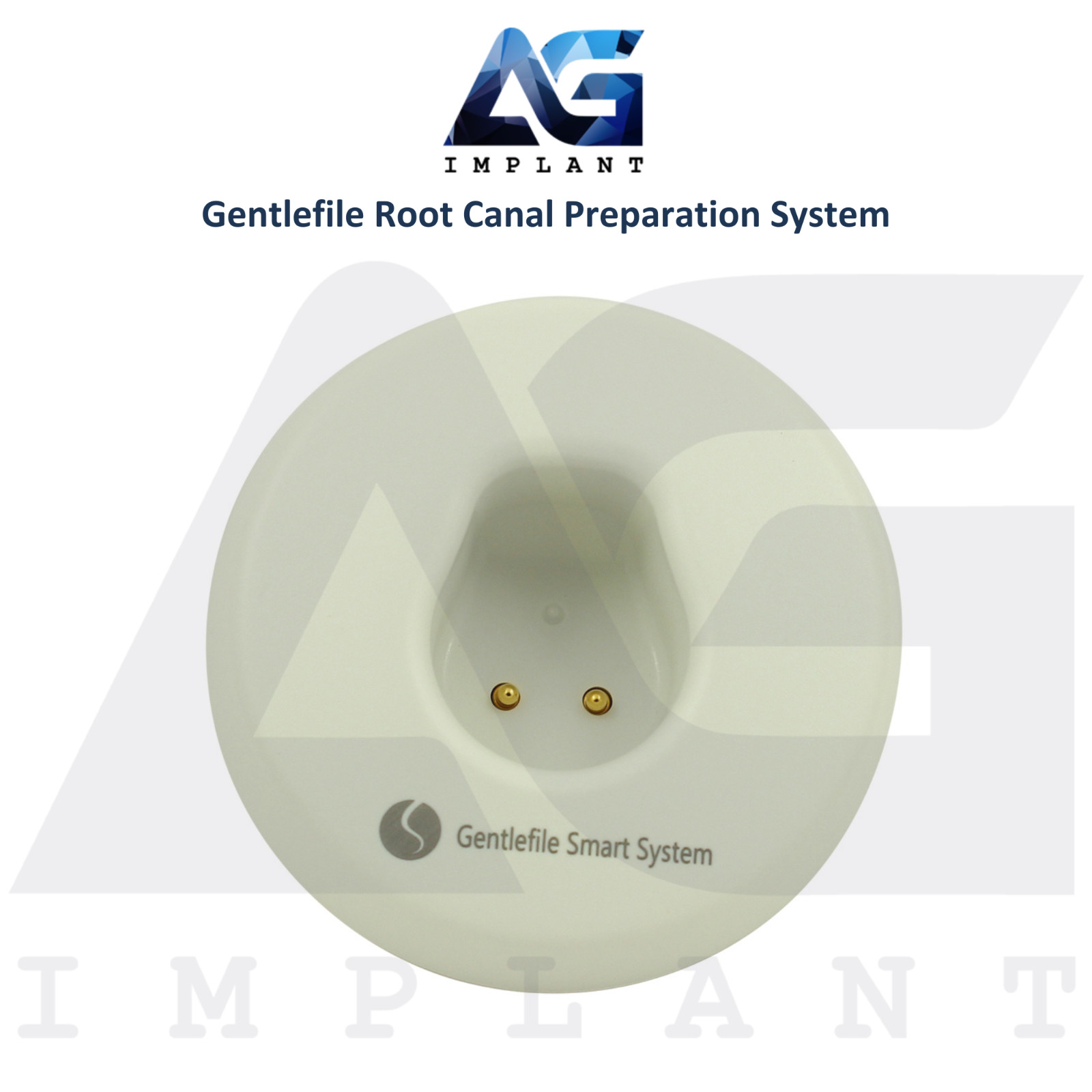 Gentlefile Ro0t Canal Preparation System Kit Cordless Dental Solution Instrument