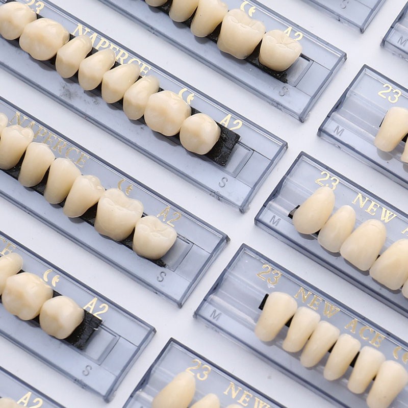 168PCS/6Sets Dental Synthetic Polymer Teeth Resin Denture Dental Teeth Dent-dx