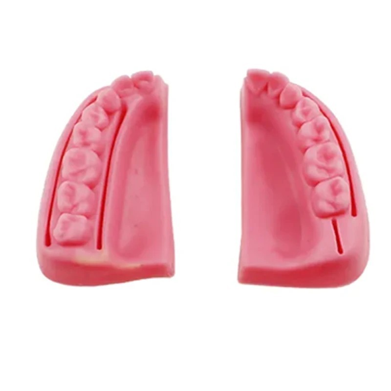 Dental Oral/Gum Suture Training Pad Silicone Periodontitis Suture Model
