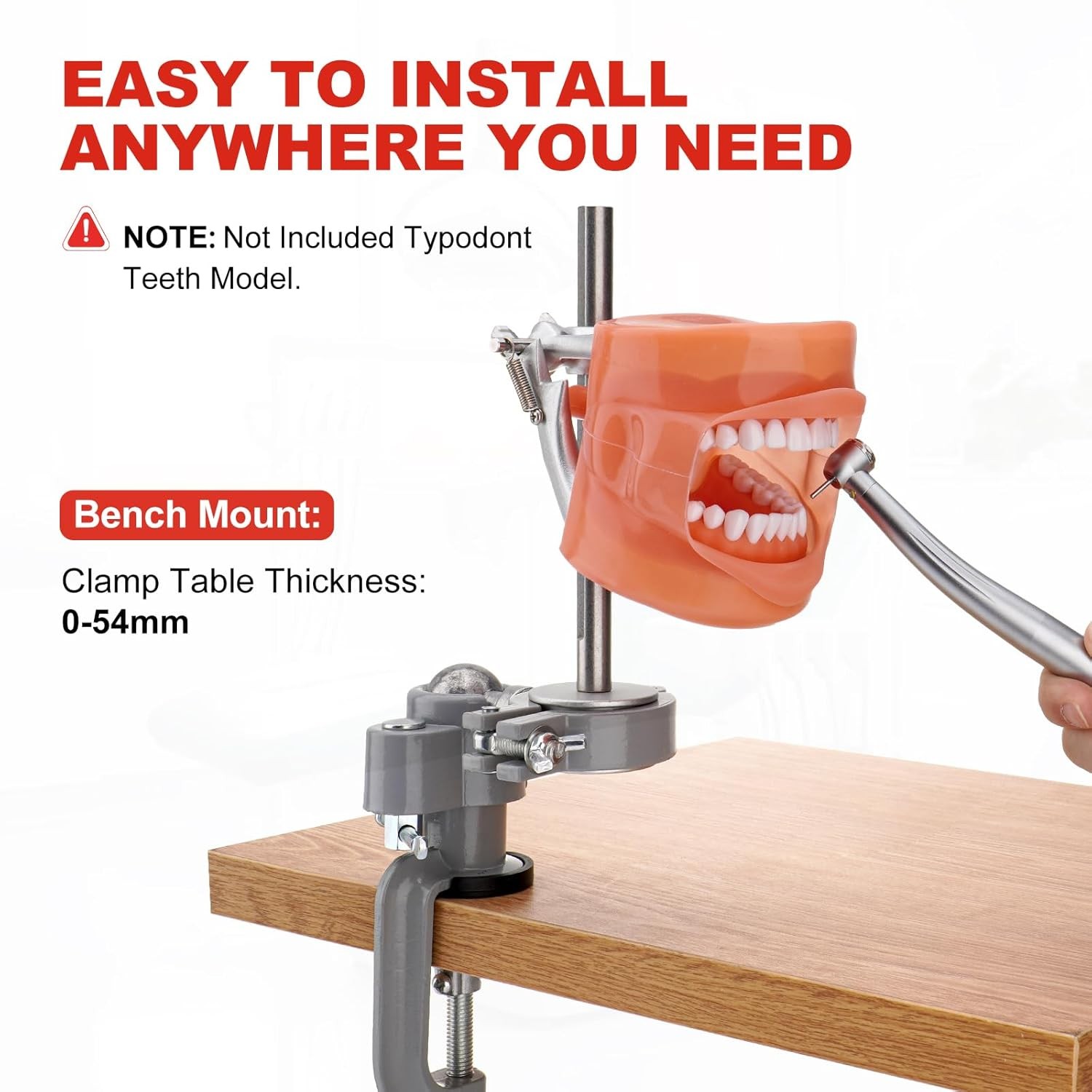 Dental Typodont Mounting Pole Teeth Model 360° Rotating not Teeth Model New